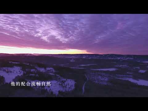 冷屁股   易烊千玺（动态歌词）flac无损音乐