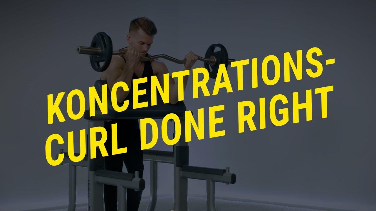 Koncentrationscurl Teknik och utförande Gymgrossisten YouTube