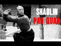 SHAOLIN PAO QUAN 少林炮拳 TUTORIAL (PART 1) BY WANG ZHANFENG