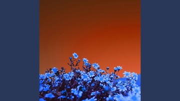 Subdued Backdrops for Limitless Days