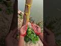 How Ancient Escape Techniques Make Ropes Useles Against Me!!