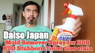 DAISO Mold Remover Spray (300g)