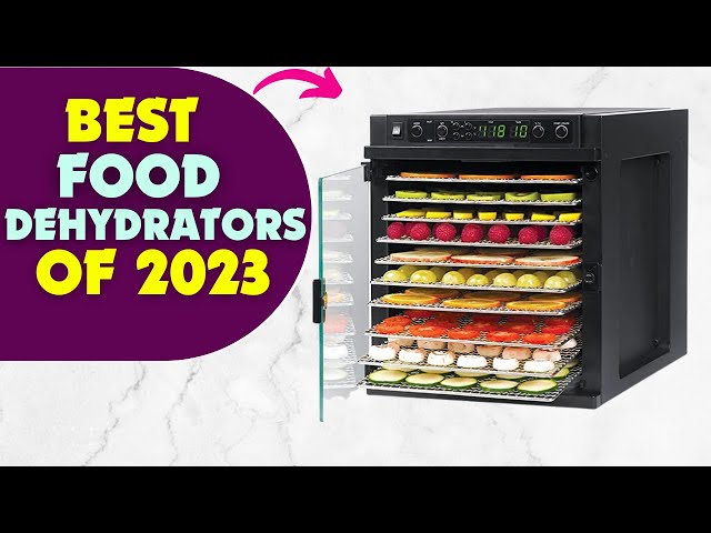 Best food dehydrator in 2023