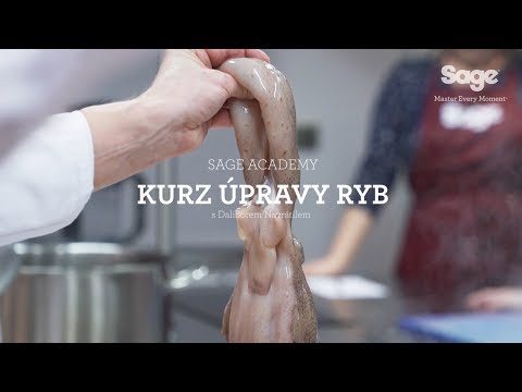 Video: Jak Vařit První Kurzy V Multivarkě