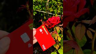অন্যের বদনাম করো না🌸 Redotpay with Rose! @MizanTechnical