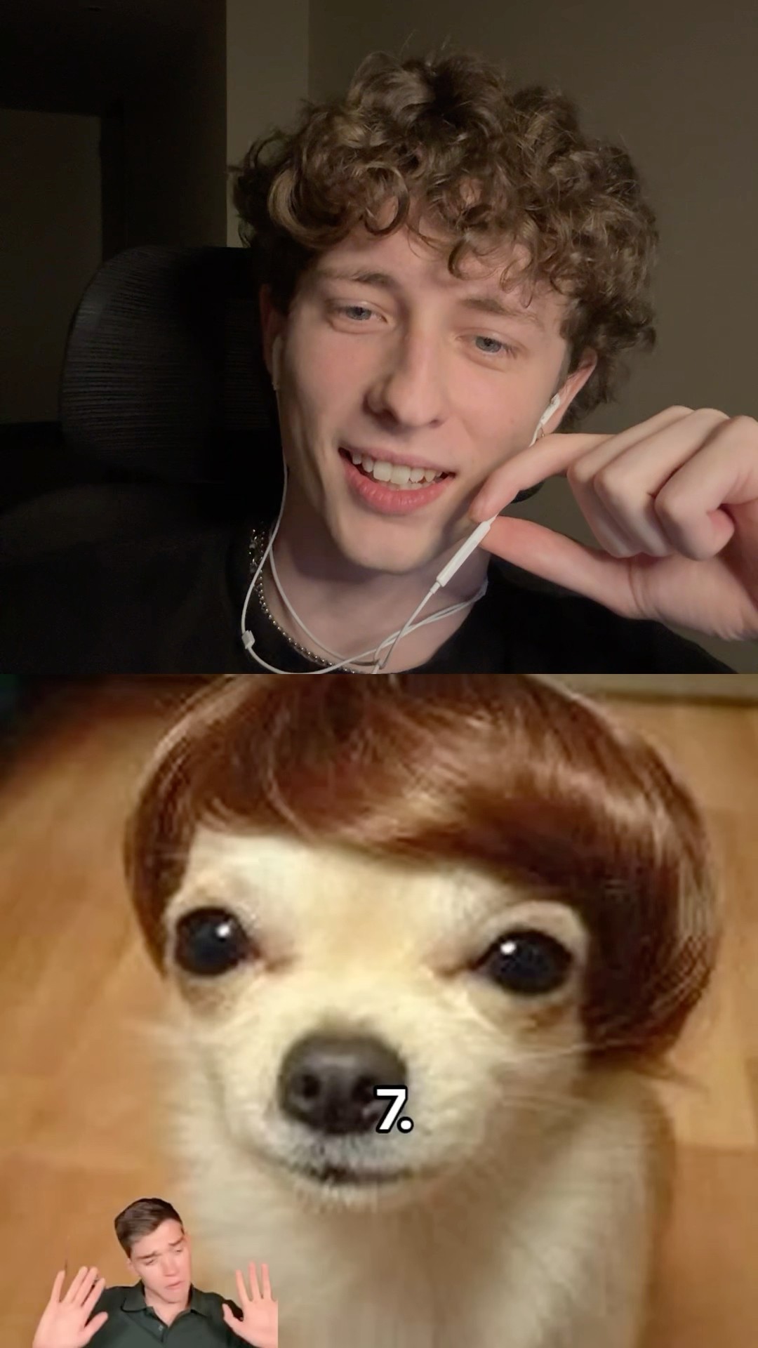 qué perro eliges?