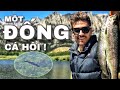Câu cá NƯỚC TRONG VẮT NHƯ THỦY TINH! | Fishing CRYSTAL CLEAR WATER! (Bishop, CA) (Phụ đề Tiếng Việt)