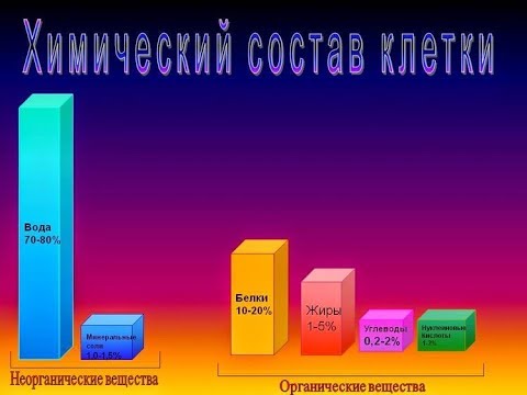 Химический состав клетки: макро, микроэлементы