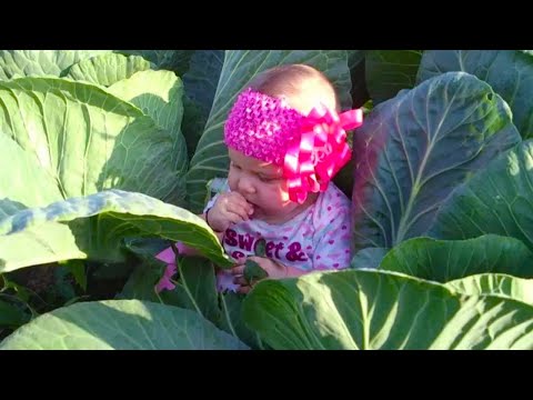 Funniest Babies Playing Moment: Hope You Have Peaceful Time Like That