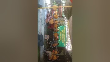 Phobin Kong Jie Lok # Banglemin # Ratu Gambrong @kosimbalagagambrong6819