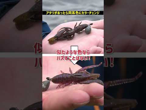 【チニング】釣りするときに覚えておきたいこと【フリーリグ】