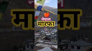 Marpha Nepal 🇳🇵🍎🍏 #ytshorts #marpha #nepal