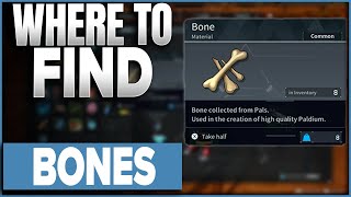How To Get Bones In Palword