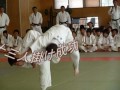 コムロック 【柔道13人掛け】 in 山形県鶴岡