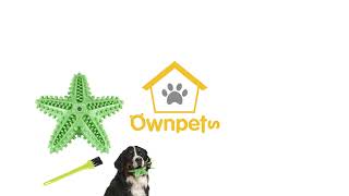 Ownpets Dog Chew Toy, Starfish Squeaky Teeth Cleaning Chew Toy