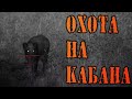 ОХОТА НА КАБАНА С ВЫШКИ / ГЛАДКОСТВОЛЬНЫЙ ОХОТНИЧИЙ КАРАБИН ТК-598 КАЛИБР 9,6/53 LANCASTER / НОЧНИК