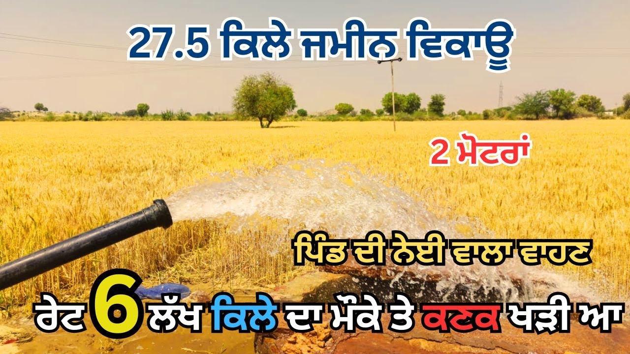 27.5 ਕਿਲੇ ਜਮੀਨ ਵਿਕਾਊ 2 ਮੋਟਰਾਂ ਪਿੰਡ ਦੀ ਨੇਈ ਵਾਲਾ ਵਾਹਣ ਰੇਟ 6 ਲੱਖ ਕਿਲੇ ਦਾ ਮੌਕੇ ਤੇ ਕਣਕ ਖੜੀ ਆ