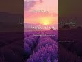 Ayatul kursi Quran tilawat subscribe like sheer #duet viral