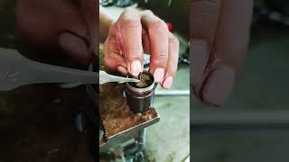 Diesel Pump Performance Testing