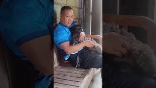 Gaparayg kay wala nakadungog sa hagok sa iyang Papa tibuok gabie😀🐕