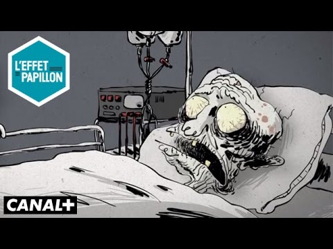 Vidéo: Dans Quels Pays L'euthanasie Est-elle Autorisée