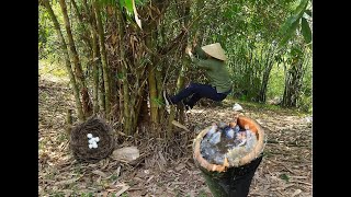 Surviving the Wild: Bamboo Water and Grilled Bird Eggs | A Wilderness Adventure|Anh Nhà Quê