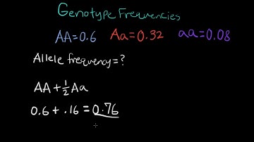 How to calculate the allele frequency given a genotype frequency