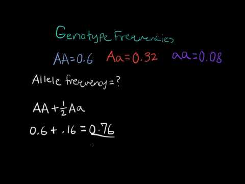 Video: Kokie yra alelių dažniai ir numatomi genotipo dažniai?