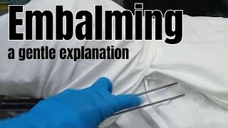 Download Lagu How we embalm a body in the mortuary gentle MP3