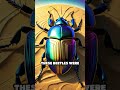 Scarab Beetle: Ancient Symbol of Change