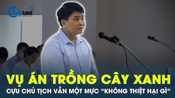 Ông Nguyễn Đức Chung khẳng định việc trồng cây xanh rất ý nghĩa, không có thiệt hại | CafeLand