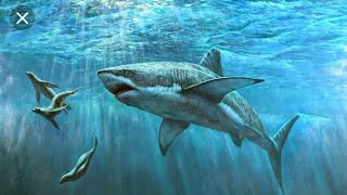 VR Diving - Deep Sea Discovery (Google Cardboard) - Android Gameplay screenshot 2