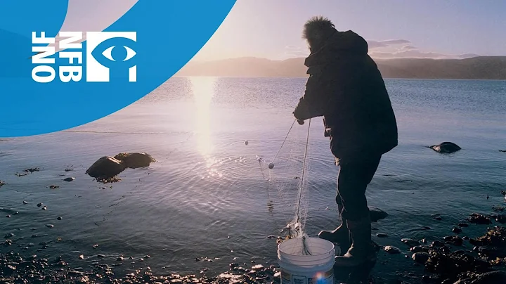 If the Weather Permits