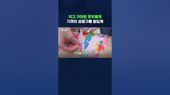 성동구 댕벤져스 호두를 소개합니다 #shorts /스브스뉴스