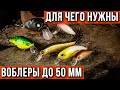 Воблеры 50 мм и меньше, для чего они нужны.