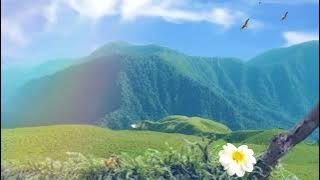 VIDEO BACKGROUND BERGERAK PEMANDANGAN ALAM I BUKIT INDAH
