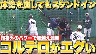 【戦慄パワー】コルデロ『体勢を崩してもスタンドイン…柵越え連発“規格外のフリー打撃”』