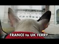 Taking your dog on the ferry from france to uk