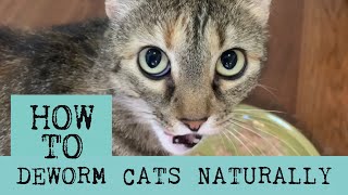 How to Deworm Cats Naturally with Diatomaceous Earth