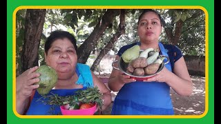 Tratando de / de Comer / Mas Saludable/ El Salvador 4x4
