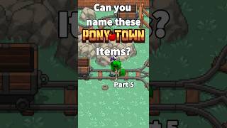 Can You Name These Pony Town Items (Part 5)
