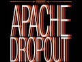 Apache Dropout - Sylvia