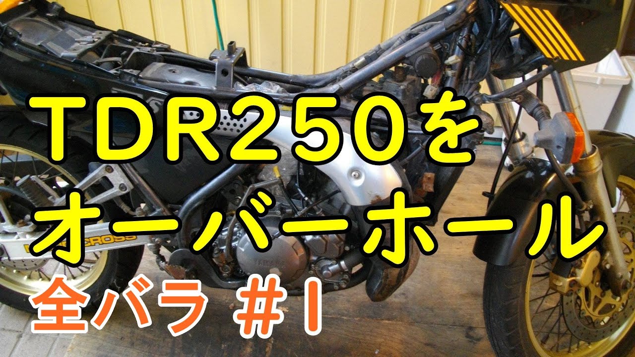 TDR250 2YK キャブレター オーバーホール リペア キット 純正