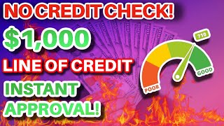 New Instant Approval 1000 No Credit Check Line Of Credit Reports To All 3 Credit Bureaus