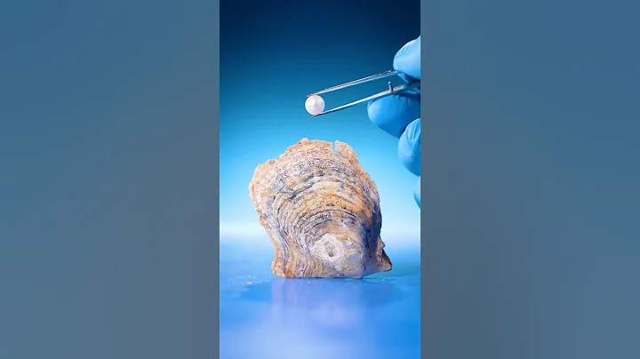 How Do Oysters Make Pearls?