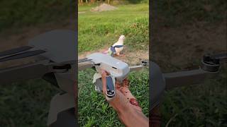 DJI mini 2 drone camera #song #djimini2 #drone #dji #reels #djidrone