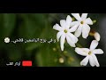 و في بوح الياسمين قصتي 
