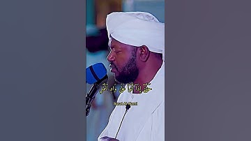 سورة نمل الشيخ نورين محمد صديق #سورة #الله #reels #viral #تلاوات #القرآن #quran #تلاوة #reelvideo