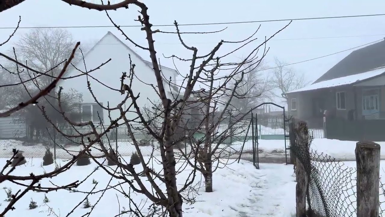 Обрізка дерев 