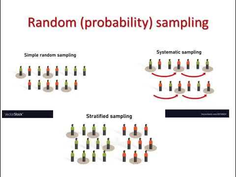 revision Types of data and sampling wmv Google Drive - YouTube